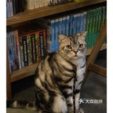佛山探店｜先行图书.书香与啡香.这里都有