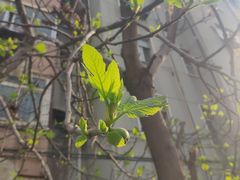 -河南师范大学(主校区)