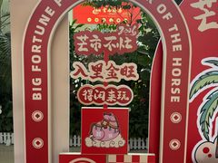 -德宏芒市国际机场