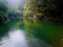 -石台牯牛降景区