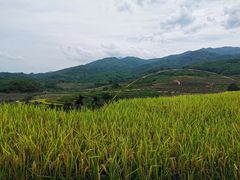 -牙胡梯田