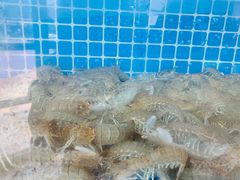 -蟹谢蒸鲜自助餐厅