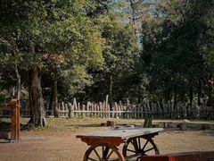 -福田红树林生态公园