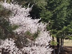 -莫子山公园