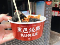 -黑色经典臭豆腐·湖南特产(坡子街特产局店)