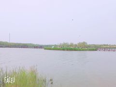 -西青郊野公园
