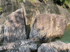 -广州白江湖森林公园