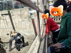 -昆明动物园