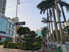 -港珠澳大桥(珠海段)