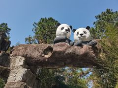 -安吉竹博园