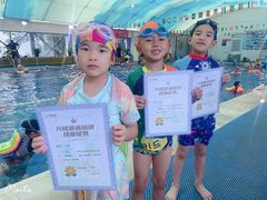 -鲨鱼游泳培训中心