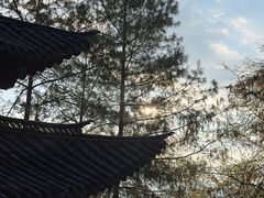 -腾冲云峰山
