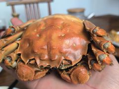 -品鲜村农家菜·阳澄湖大闸蟹(总店)