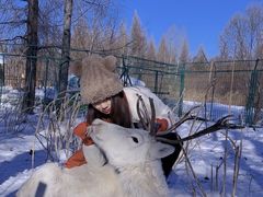 -长白山红松王滑雪场