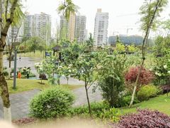 -重庆平顶山公园