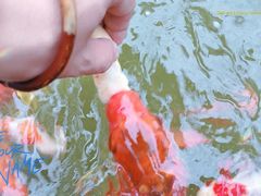 -太湖湾开元名庭大酒店