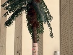 -上海第一八佰伴
