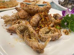 濑尿虾-湛江渔港·大排档(乐园路总店)