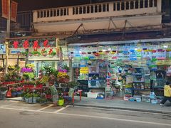 -溪岸路花鸟市场