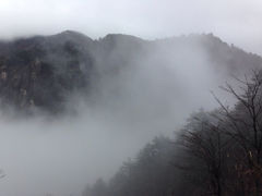 大明山-大明山自然探索公园