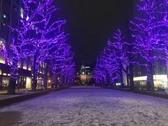 -北海道厅旧本厅舍(旧本庁舎)