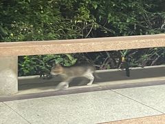 -人民公园(罗湖区)