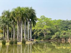 -中国科学院西双版纳热带植物园