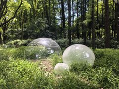 -上海共青森林公园