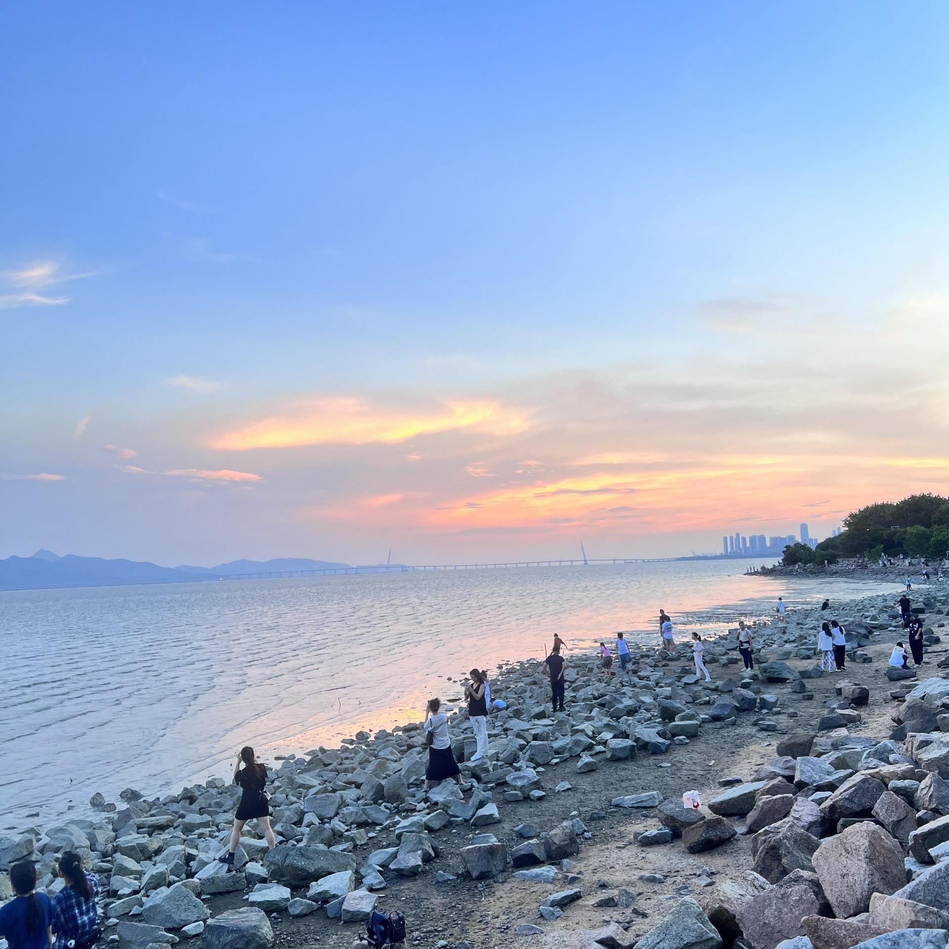 深圳湾畔私藏浪漫!福田区这个免费公园太宝藏