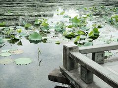-西湖游船