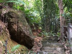 -滴水岩森林公园