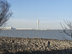 -上海吴淞炮台湾国家湿地公园