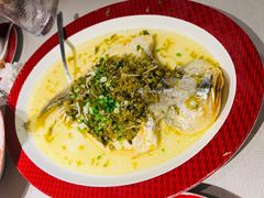 -圆苑(静安寺店)