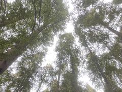 -南京金牛湖风景区