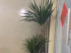 -小团圆糖水铺(襄阳南路店)