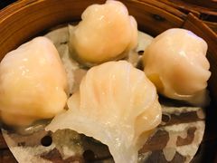 添运来虾饺皇-添运来(茶园奥园广场店)