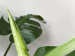 -世纪联华超市(浦电路店)