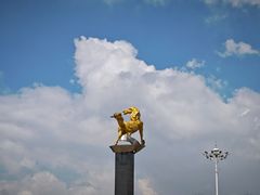 -东郊湿地公园