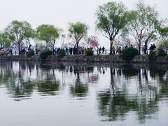 -无锡蠡湖国家湿地公园-蠡园