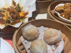 -点都德·毕德寮