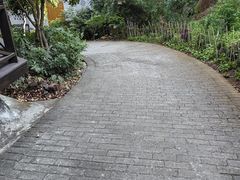 -清水湖度假村(罗浮山美食地标店)