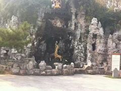 -祥源·阜阳生态乐园