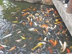 -珠海圆明新园