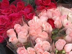 -循礼门鲜花花市(武汉循礼门店)