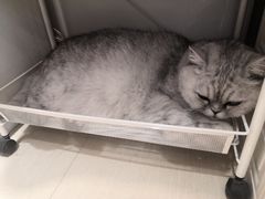 -Oasis绿洲银饰珍珠手作diy(壹方城店)