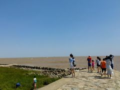 -南汇嘴观海公园