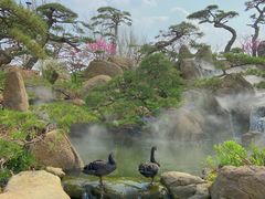 -罗红摄影艺术馆