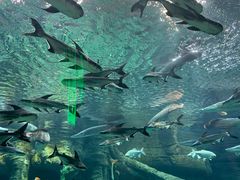 -波塞冬旅游度假区