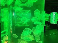 -大连老虎滩海洋公园