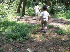 -象山森林公园